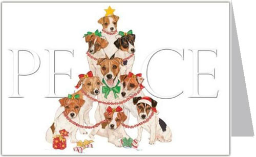Jack Russell Terrier Christmas Cards Peace